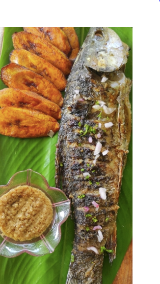 Grilled Mackerel ( maquereau, Tomson)